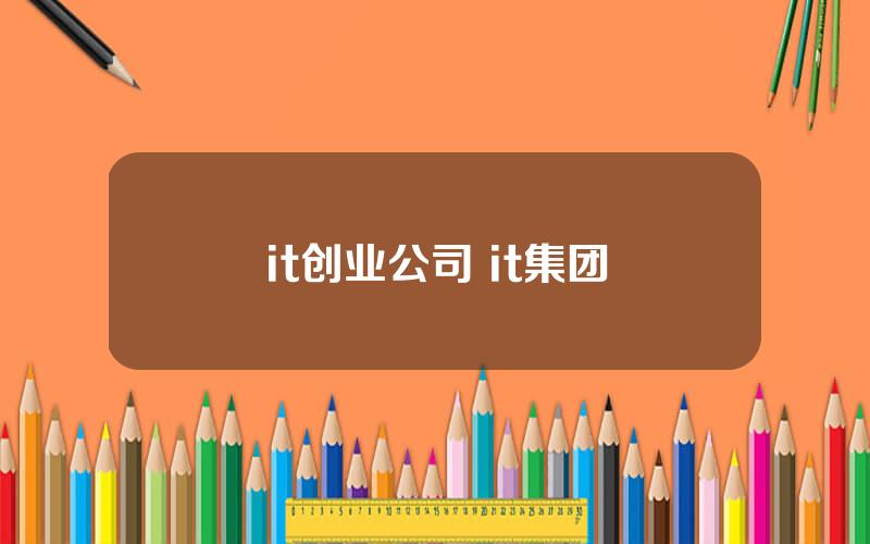 it创业公司 it集团
